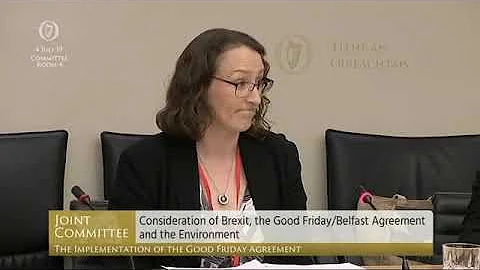 Committee on the Implementation of the Good Friday Agreement - 4 Jul 2019
