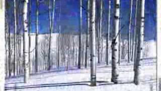 Video thumbnail of "Winter in Amerika"