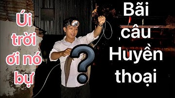 điểm câu cá ngát sông toàn cá khủng cà mau