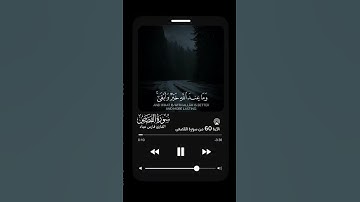 سورة القصص بتلاوة خاشعة│فارس عباد #فارس_عباد #سورة_القصص