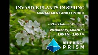 Invasive Plants in Spring: Management & Control