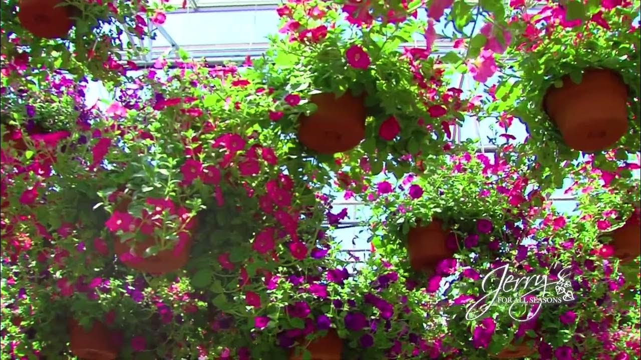 Top 100 Garden Centers in the Nation Year after Year! Visit Jerry's