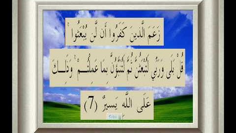 القران الكريم سورة التغابن الأية 7.wmv