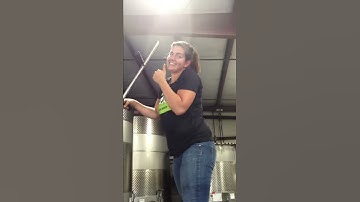 Talley Vineyards Harvest 2013 Punch Down