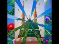 مديح الزيتونة تجاني ابوبكر