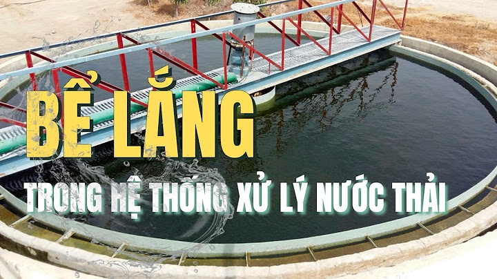 So sánh các loại bể lắng năm 2024