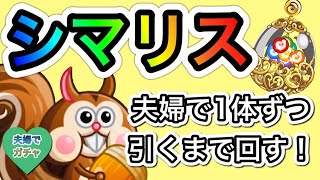 神回【城ドラ攻略】シマリス(ヘソクリ)を夫婦で1体ずつ引けるまでぶん回してみた【城とドラゴン|ケン妻ガチャ#12】ピピピのアバたま 神回【城ドラ攻略】シマリス(ヘソクリ)を夫婦で1体ずつ引けるまでぶん回してみた【城とドラゴン|ケン妻ガチャ#12】ピピピのアバたま