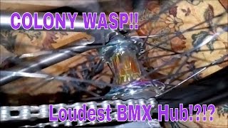 Colony Wasp Hub Sound (Loudest Bmx Hubs)