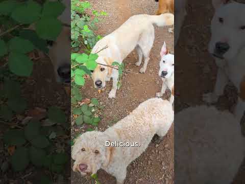 Hey Where Did Dad Go