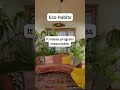 Eco-Friendly Cleaning Hacks | Zero-Waste Living Tips-Eco-Friendly Home Cleaning | Non-Toxic Lifesty