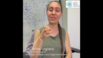 How does our brain learn new dance moves?