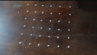 Simple Rani With Dots 66 Pulli Kolam