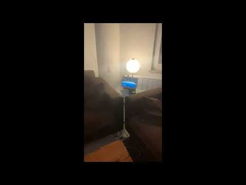 Video: Google home ile çalışan bir robot elektrikli süpürge var mı?