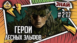 Мультшоу Герои лесных эльфов Знай 277 Warhammer Fantasy