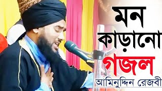 আমিনুদ্দিন রেজবী নতুন গজল দুই হাজার কুড়ি// aminuddin Rizvi new gojol 2020..islamic TV