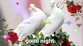 GOOD night viral video  - Whatsapp, status  Wishes, Quotes, Message Greetings full HD biutiful image screenshot 2