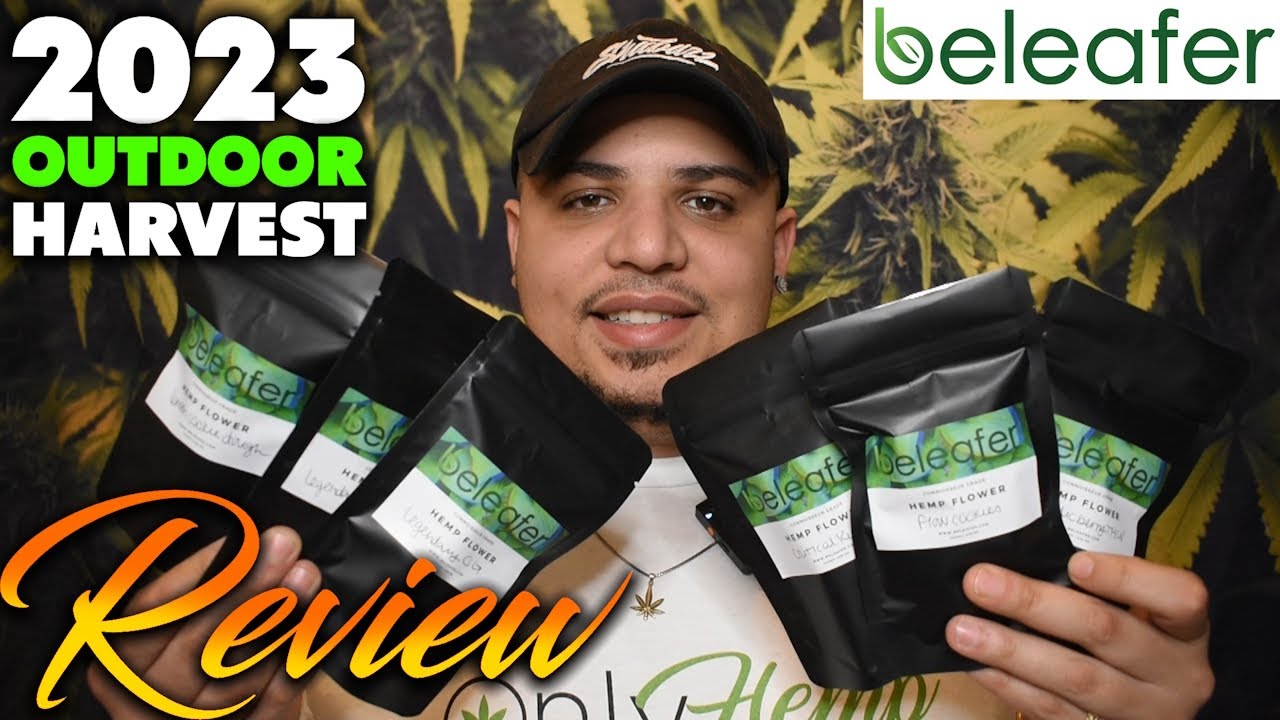 Этот новый Beleafer Outdoor оказался на удивление хорош | Обзор цветка конопли с КБД