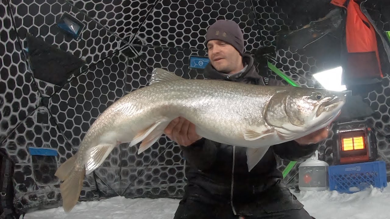 Ice Fishing For Giant Lake Trout! 