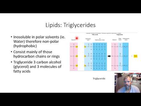 BiolG225 Molecular Interactions Part 2 Video
