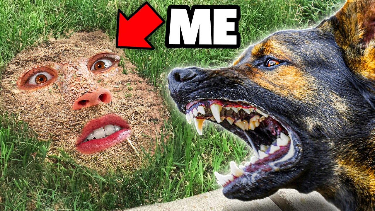 I Learned Extreme Camouflage to Escape a K-9 Unit