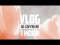 1 hour  waesto  sidigo vlog no copyright music