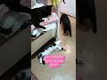 Как стемнеет кассу будем брать Джентльмены удачи Cat прикольнаяозвучка юмор Как стемнеет кассу будем брать Джентльмены удачи Cat прикольнаяозвучка юмор
