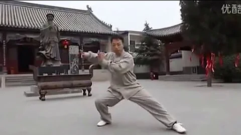 Master Chen Chao, Chen TaiJi Erlu