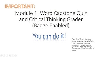 MyITLab Module 1 Capstone for BUSN1360