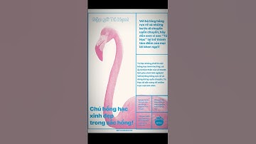 “Poster in lụa – Chú hồng hạc troong sắc hồng hệ màu *CMYK*Tái hiện phong cách screen print