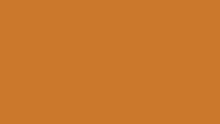 Color Pumpkin Pie, HEX #CA762B, RGB 202,118,43