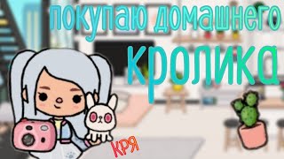 VLOG покупаю домашнего кролика ❤