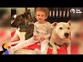 Girl Loves Taking Care Of Her Pit Bull Dog Best Friends | The Dodo