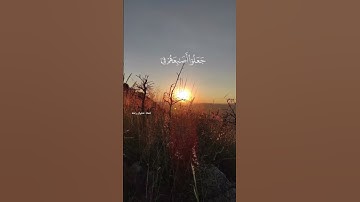 قال ربي اني دعوت قومي ليلآ و نهارا ماهر المعيقلي سورة نوح