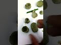 United States Lost Civilization Clay Art (1560 Style) | Traditional Handmade CraftAncient | ep-5