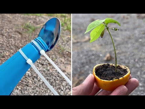 12 Simple Gardening Tips and Tricks