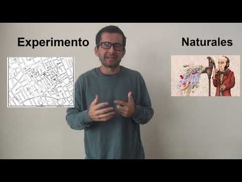 ¿Qué es un experimento?