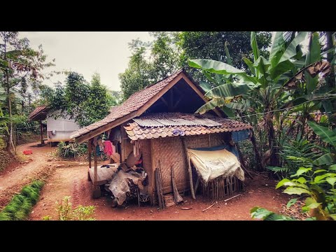 Kampung Ciburuy Memang Mantap., Udara Sejuk & Indah Alam Desanya, Suasana Pedesaan Sunda Jawa Barat