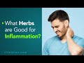 What Herbs are Good for Inflammation | Vital Plan Webinar Short