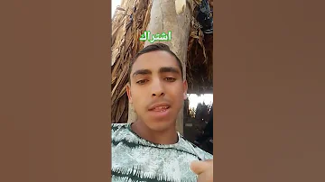 وانتى عارفه انى أنا ميت عليكى 