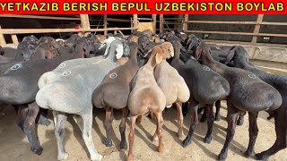 ARZONCHI BOLIB KETDIM AKA ENDI 93-310-37-37   94-527-90-50