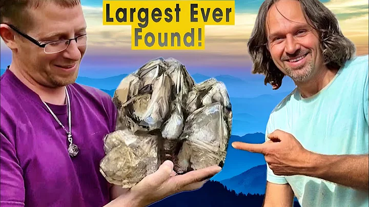 Is This The Largest Herkimer Diamond Ever Found?