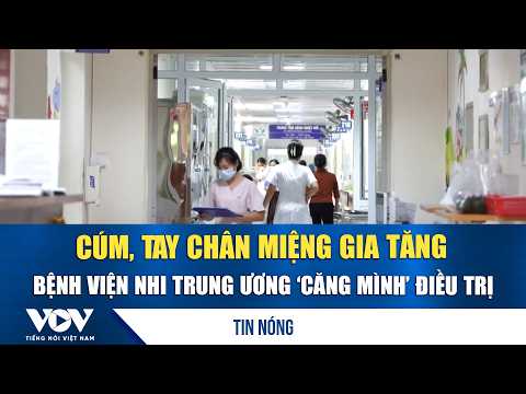 Flu, Hand-Foot-and-Mouth Disease on the Rise, National Children’s Hospital Stretched Thin Treatin...
