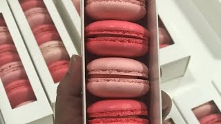 How to fold a macaron box with easy steps