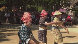 Okinawa Week Mixed Plate Dance