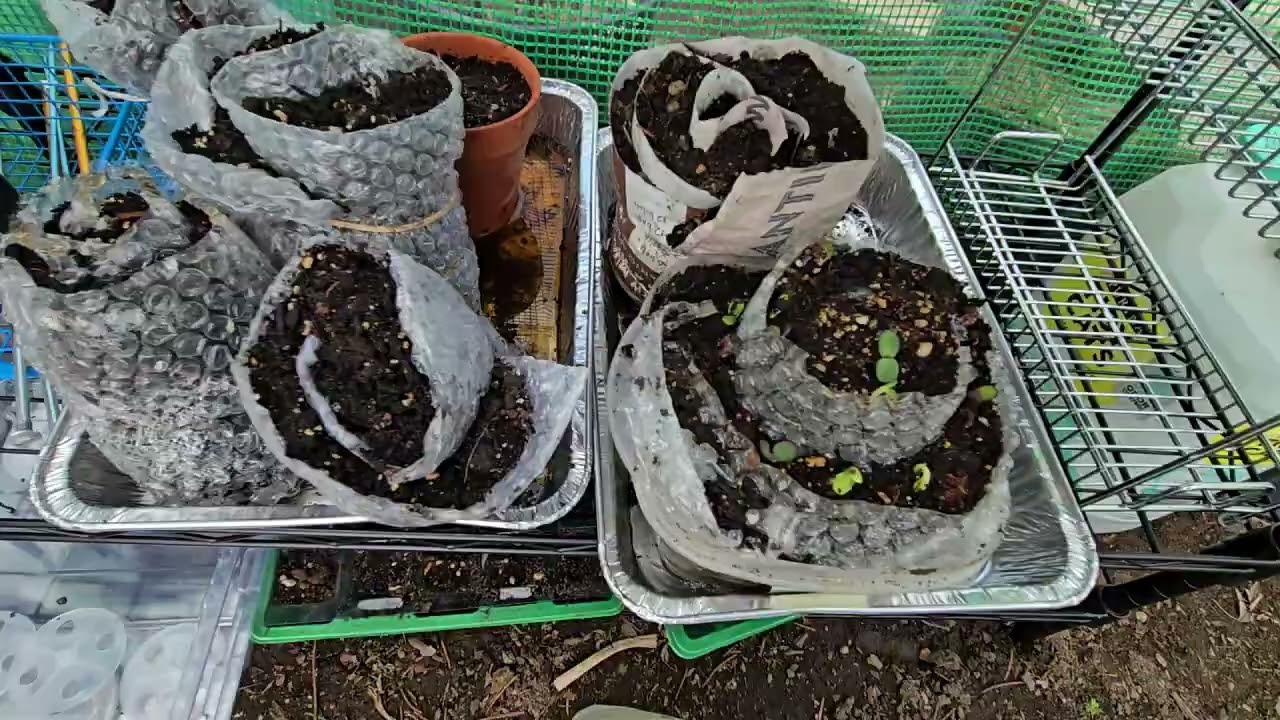 More Greenhouse Talk....