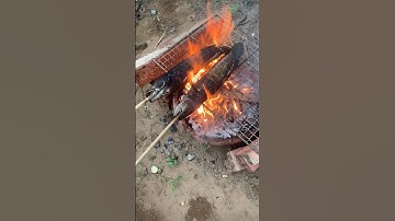 Cá lóc nướng cuốn rau sống bánh tráng chấm mắm me..🤤🤤#yummy #entertainment #shorts