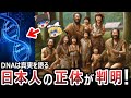 【ゆっくり解説】最新DNA分析で日本人のルーツが判明！！日本人の正体は渡来人ではなく○○だった⁉縄文時代に朝鮮半島では5000年間人類が絶滅していた!！教科書の内容は何故事実と違うのか⁉【都市伝説】