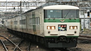 JR185系OM04編成 9131M 特急踊り子161号 伊豆急下田行き JR常磐線 松戸駅 入線