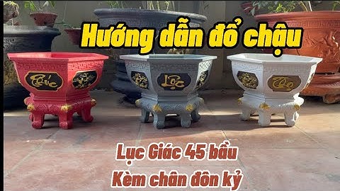 Hướng dẫn đổ chậu lục giác 45 bầu cơ bản