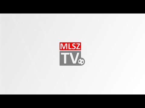 Fanzone színpad |
